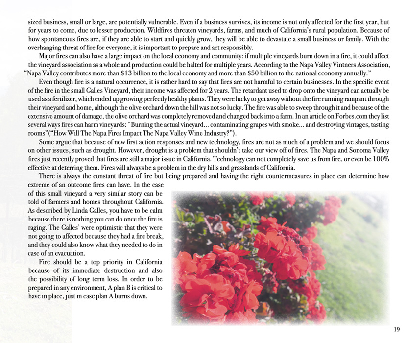 Book by Adam Galles